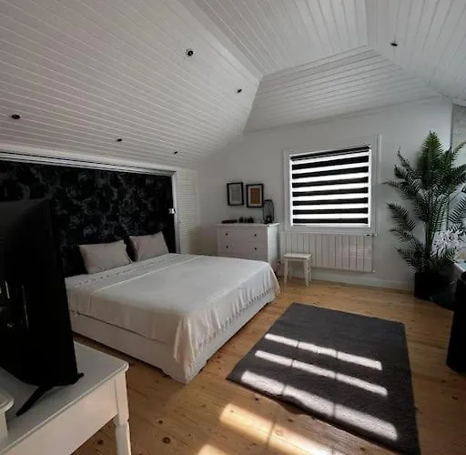 Oezel Villada Muhtesem Deneyim * Foca